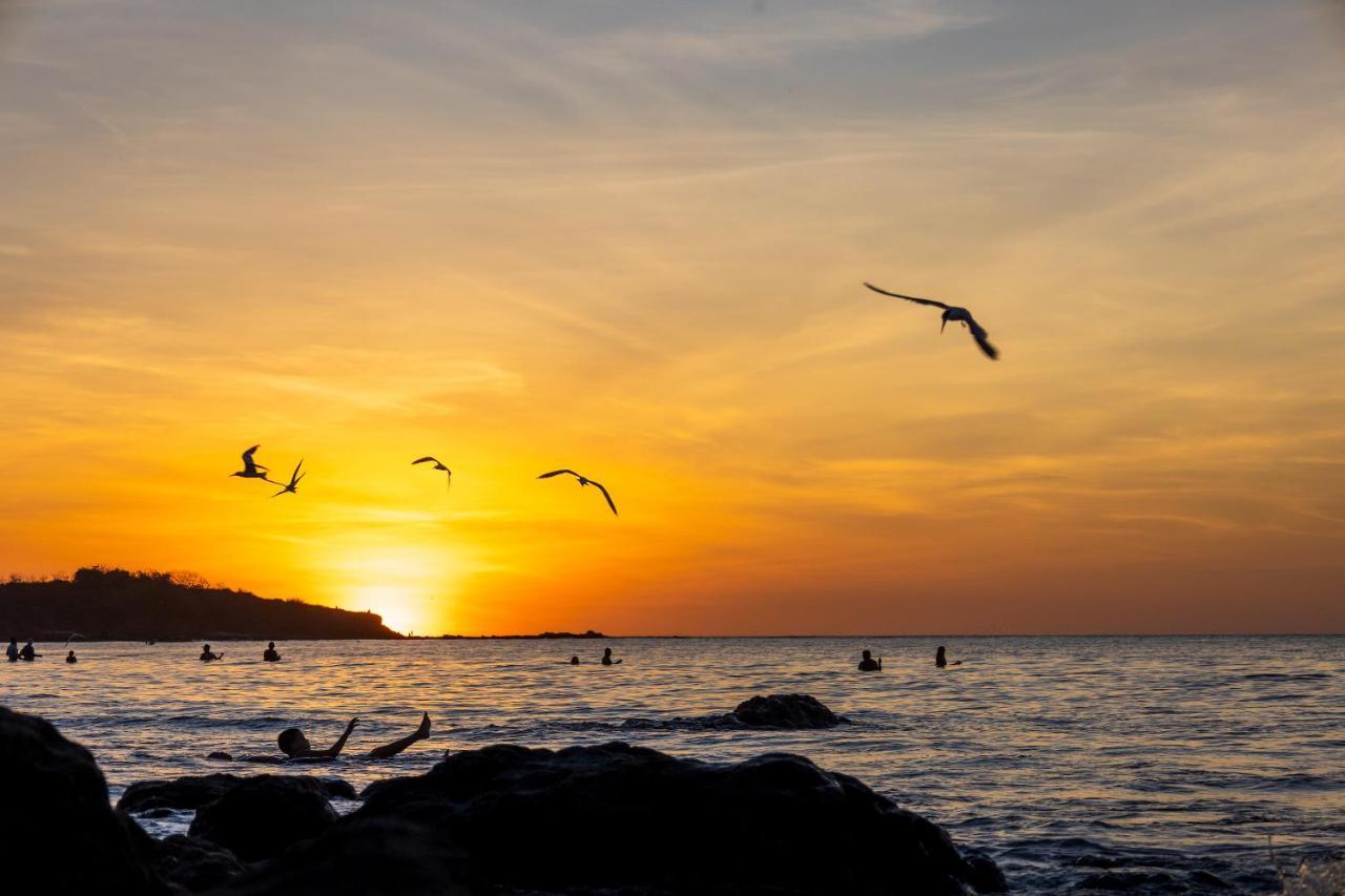 Mother Earth Luxury Boutique Hotel, Restaurant & Spa (Adults Only) Tamarindo Eksteriør billede