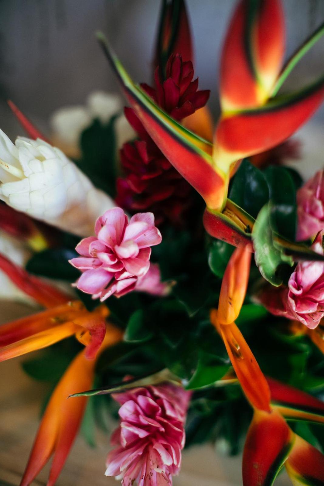 Mother Earth Luxury Boutique Hotel, Restaurant & Spa (Adults Only) Tamarindo Værelse billede